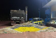 Mais de 1.100 kg de drogas e 2 pistolas são apreendidos em caminhão na BR-262