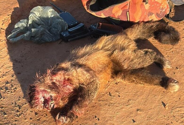 Seis pessoas são presas em flagrante por caça ilegal em Sete Quedas Seis pessoas são presas em flagrante por caça ilegal em Sete Quedas