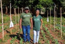 Senar/MS ajuda casal de produtores a abandonar o fiado e recuperar a renda da horta