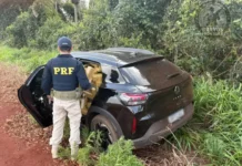 Veículo com mais de 1,2 tonelada de maconha é apreendido na BR-060