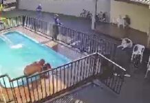 Vídeo: um morre e outro é baleado durante atentado em casa de lazer no Bairro Jardim Tarumã