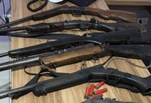 Seis pessoas são presas em flagrante por caça ilegal em Sete Quedas