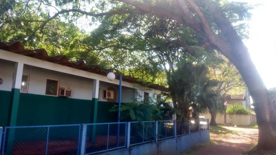 Direção de Escola teme que árvore caia sobre o telhado