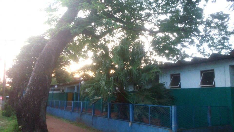 Direção de Escola teme que árvore caia sobre o telhado