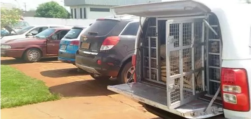 Policia Militar de Rio Brilhante apreende uma tonelada de maconha