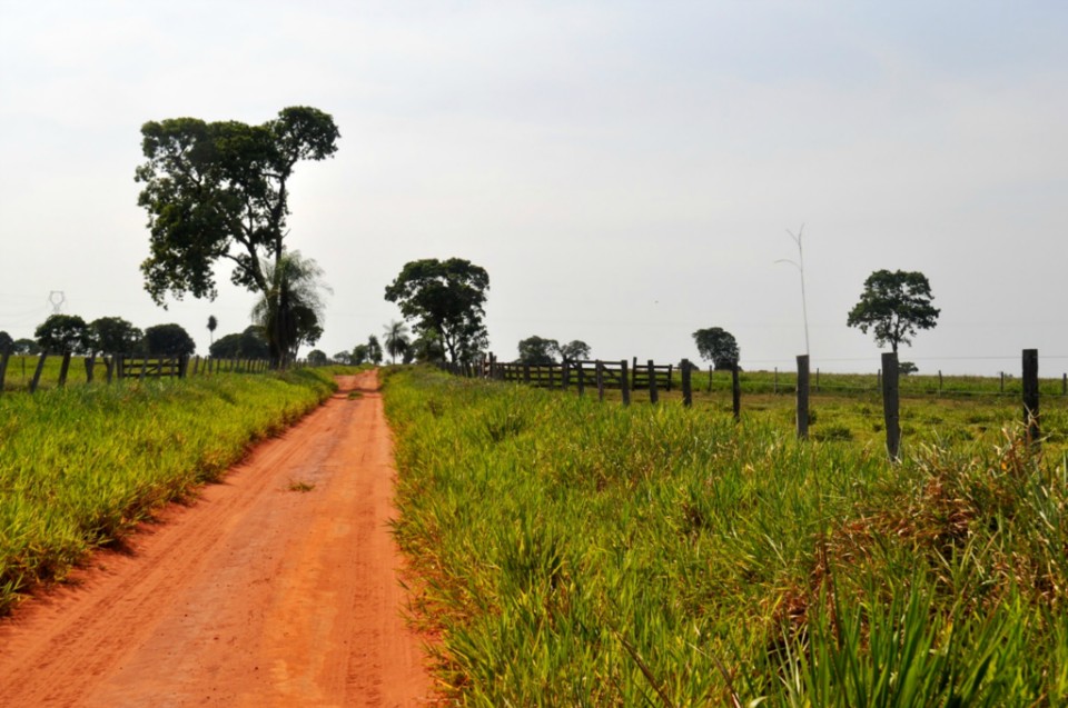 Reinaldo Azambuja lança programa de recuperação de pastagens Reinaldo Azambuja lança programa de recuperação de pastagens