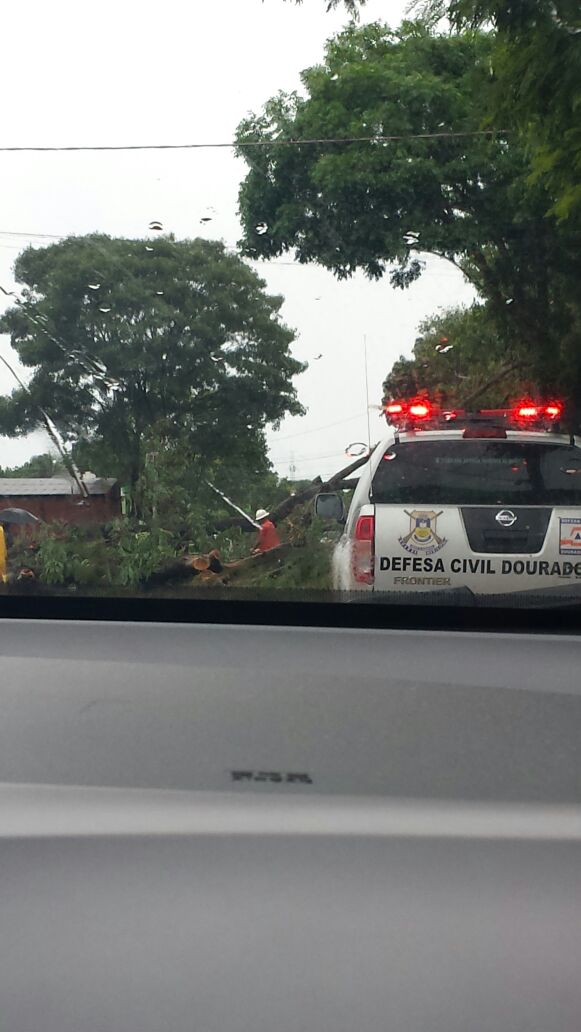 Chuva acompanhada de vento destelha casas e derruba árvores em Dourados