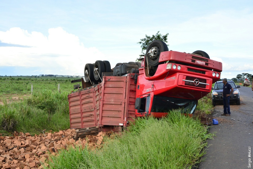 Caminhão com tijolos tomba após motorista desviar de tamanduá