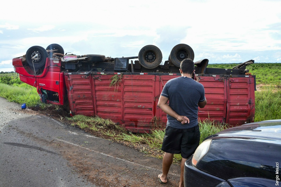 Caminhão com tijolos tomba após motorista desviar de tamanduá