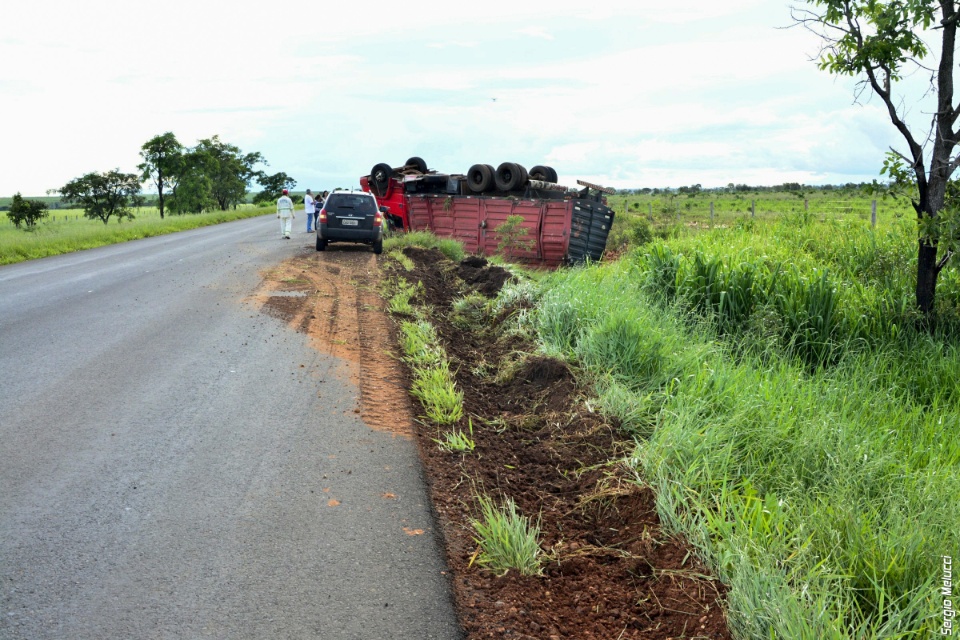 Caminhão com tijolos tomba após motorista desviar de tamanduá