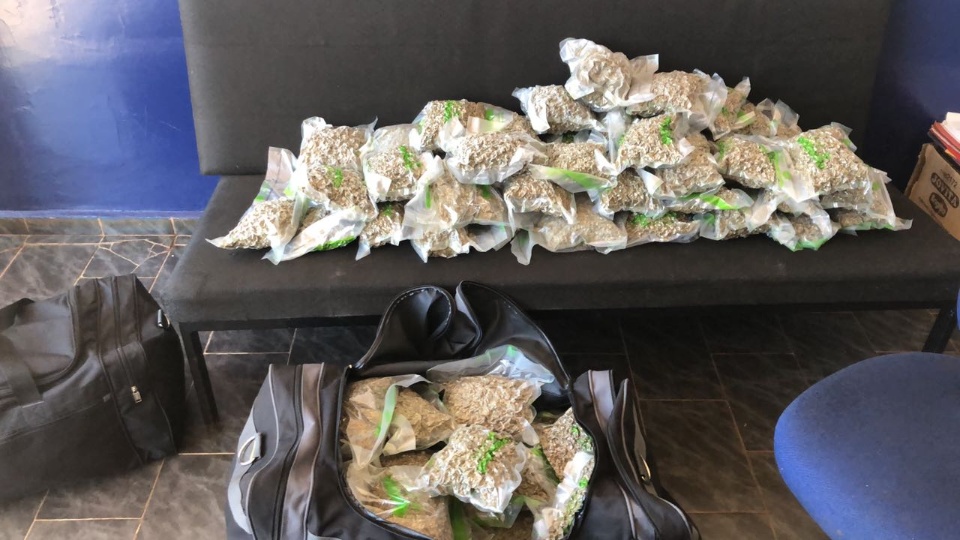 Traficante é preso com 54 quilos de maconha embaladas à vácuo Traficante é preso com 54 quilos de maconha embaladas à vácuo
