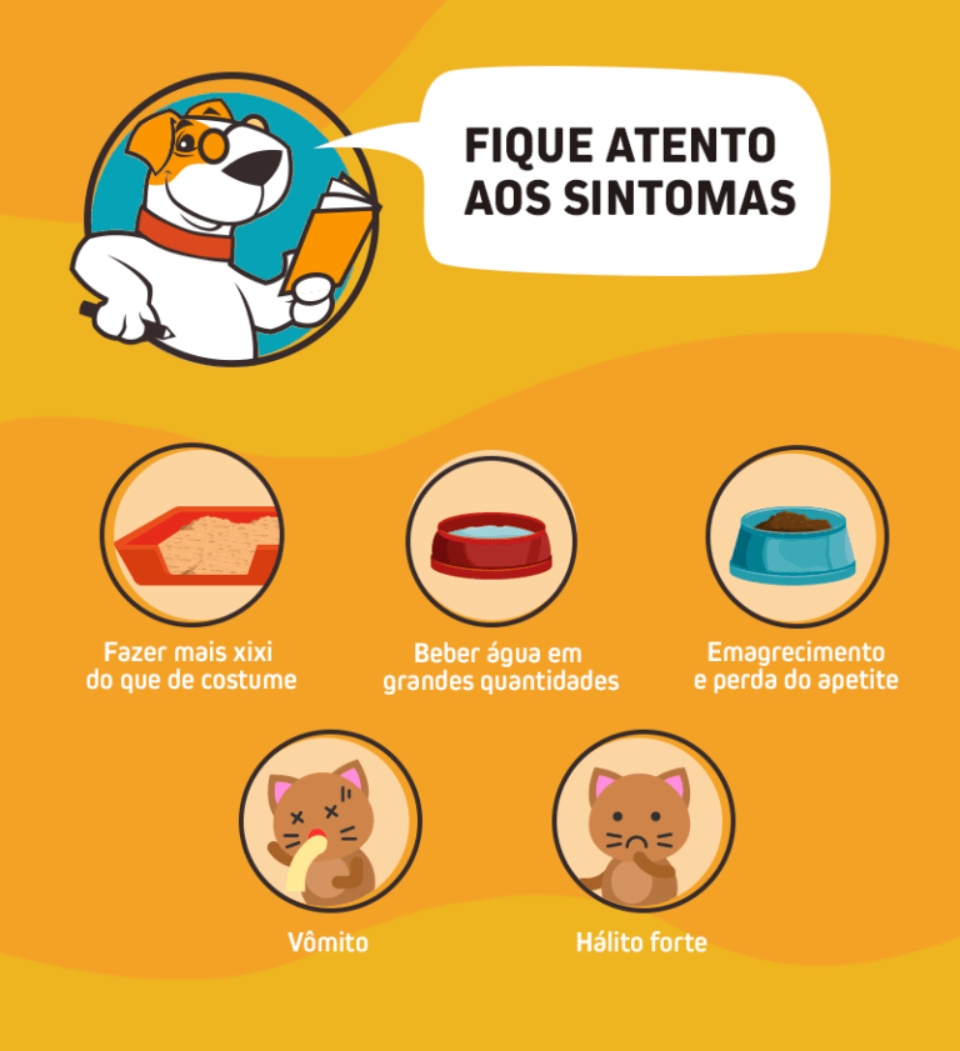 Conheça a campanha Março Amarelo para os cães e gatos