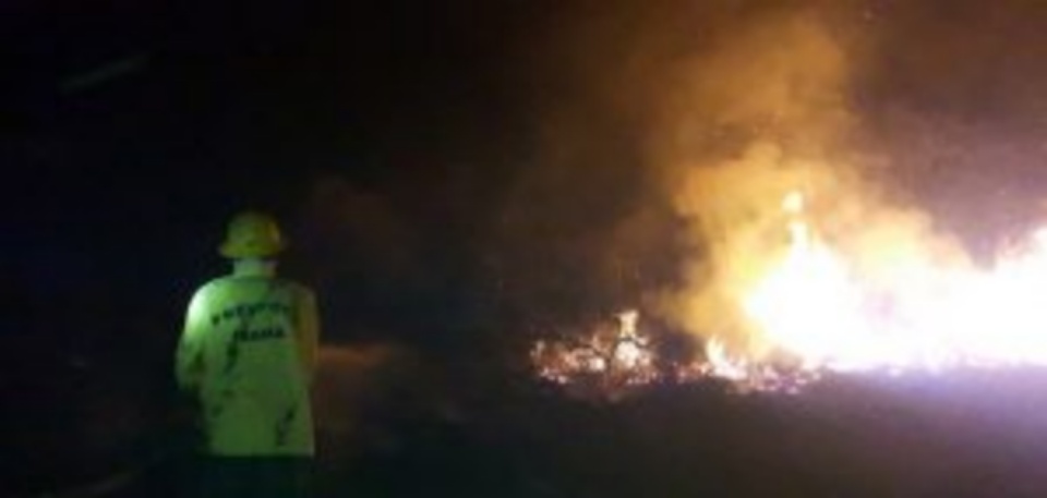 Chuva inesperada no Pantanal contribui para o controle de focos de queimadas