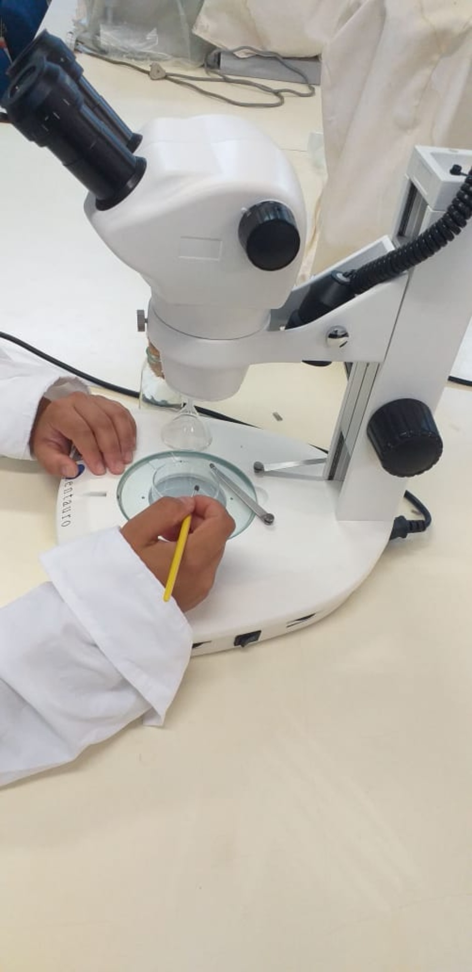 Experimento possibilita acadêmico a aprender na prática o que é ensinado em sala
