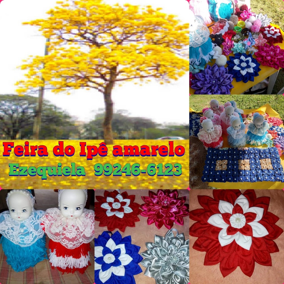 Feira Ipê Amarelo reúne artesãos para gerar renda, sustentabilidade e empreendedorismo