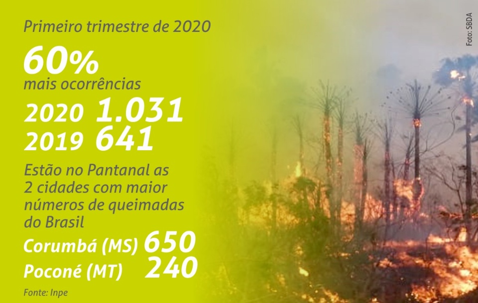 Março registra recorde no número de queimadas do Pantanal