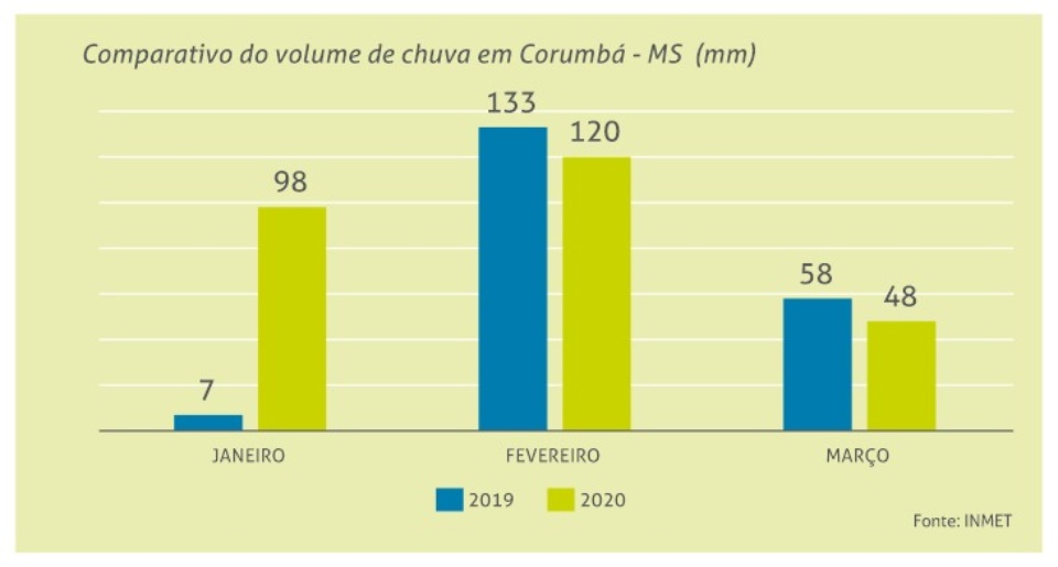 Março registra recorde no número de queimadas do Pantanal Março registra recorde no número de queimadas do Pantanal