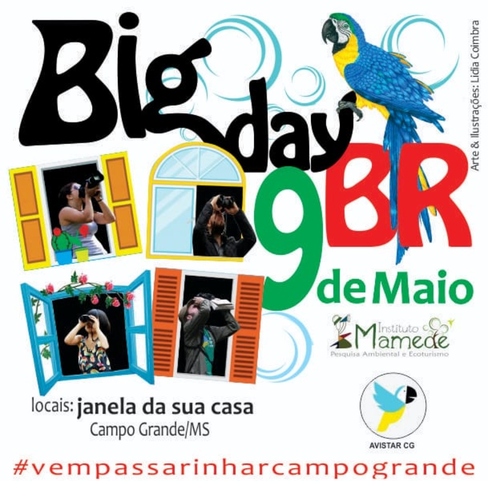 Evento Mundial Big Day acontece amanhã com observadores de aves também da capital