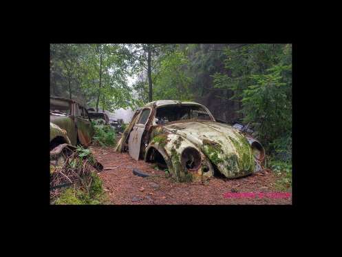 Cemitério de carros assusta em floresta da Bélgica