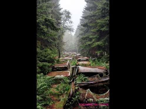 Cemitério de carros assusta em floresta da Bélgica