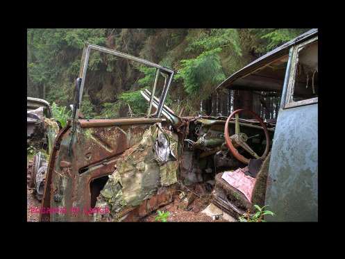 Cemitério de carros assusta em floresta da Bélgica