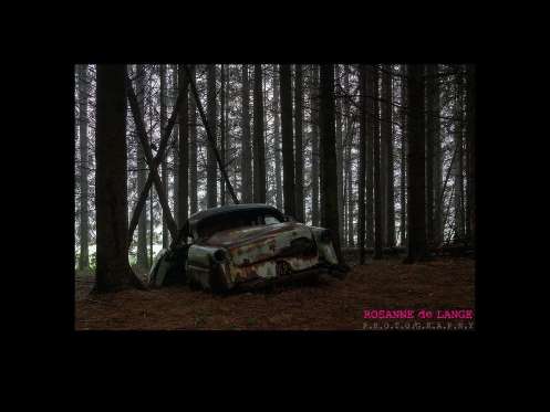 Cemitério de carros assusta em floresta da Bélgica