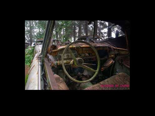 Cemitério de carros assusta em floresta da Bélgica