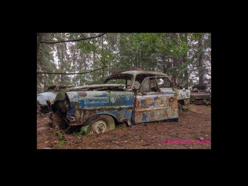 Cemitério de carros assusta em floresta da Bélgica