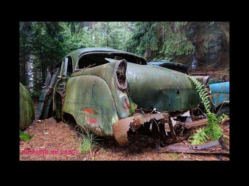 Cemitério de carros assusta em floresta da Bélgica