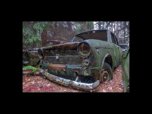 Cemitério de carros assusta em floresta da Bélgica