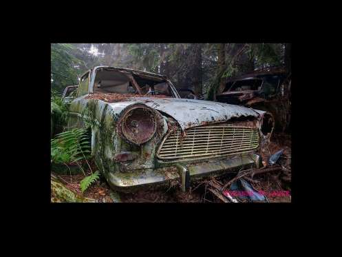 Cemitério de carros assusta em floresta da Bélgica