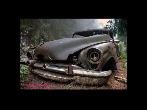 Cemitério de carros assusta em floresta da Bélgica