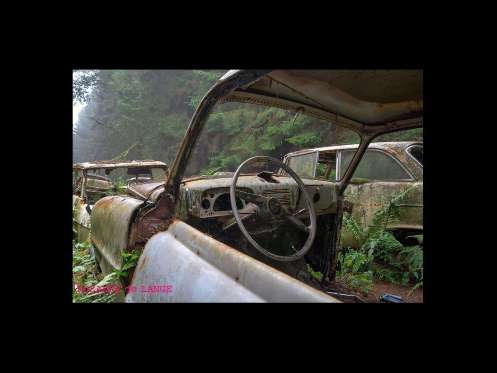Cemitério de carros assusta em floresta da Bélgica