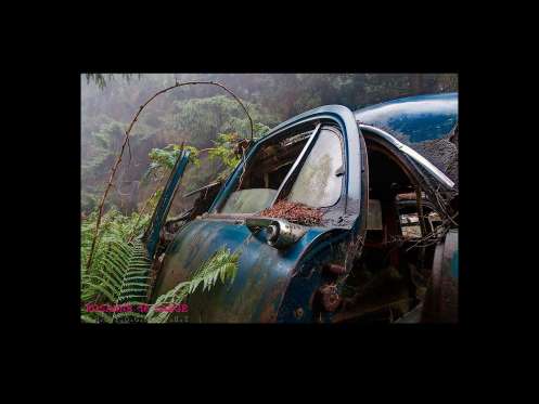 Cemitério de carros assusta em floresta da Bélgica