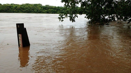 Prejuízos com estragos das chuvas já chegam a R$ 13,9 mi Cheia no Rio Taquari em 2016 - Foto: Divulgação/EMS