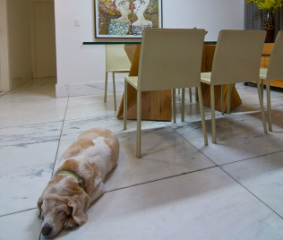 Saiba qual decoração é mais eficiente para quem tem animais em casa Projeto das arquitetas Nathália Otoni e Luciana Araújo privilegia piso em pedra e claro, por ser mais fácil de limpar e visualizar a sujeira dos bichinhos
