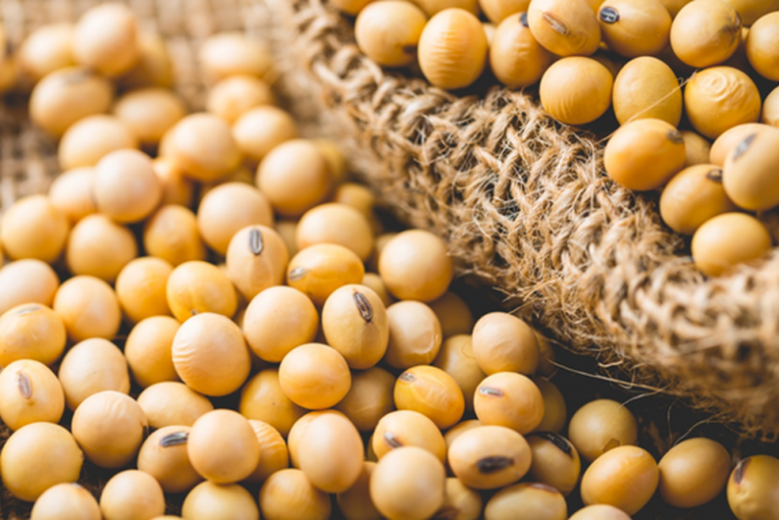 Safra de grãos será 6,8% menor em 2018, segundo IBGE