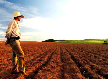 MP denuncia 27 pessoas em MS por venda de lotes da reforma agrária Foto Brasil Escola