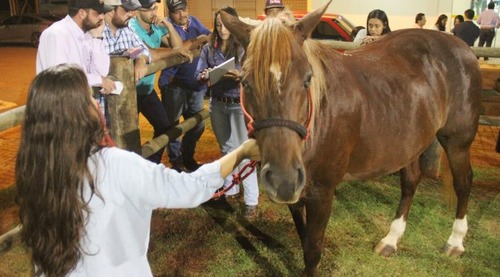 Confira as datas dos cursos para resenha virtual e atuação em eventos pecuários oferecidos pela Iagro Confira as datas dos cursos para resenha virtual e atuação em eventos pecuários oferecidos pela Iagro