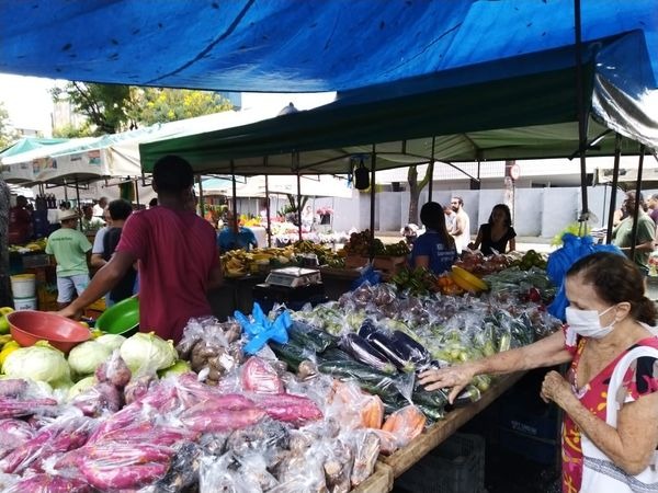 Ilustrativa/Elis Carvalho/Gazeta