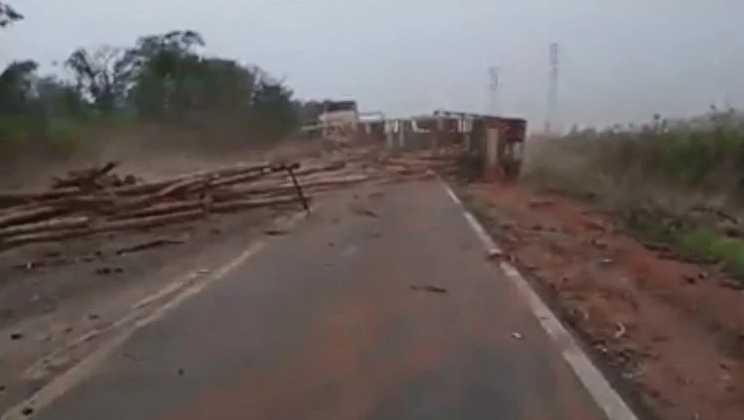 Caminhão tomba, derruba toras de eucalipto na BR-262 e causa congestionamento Reprodução