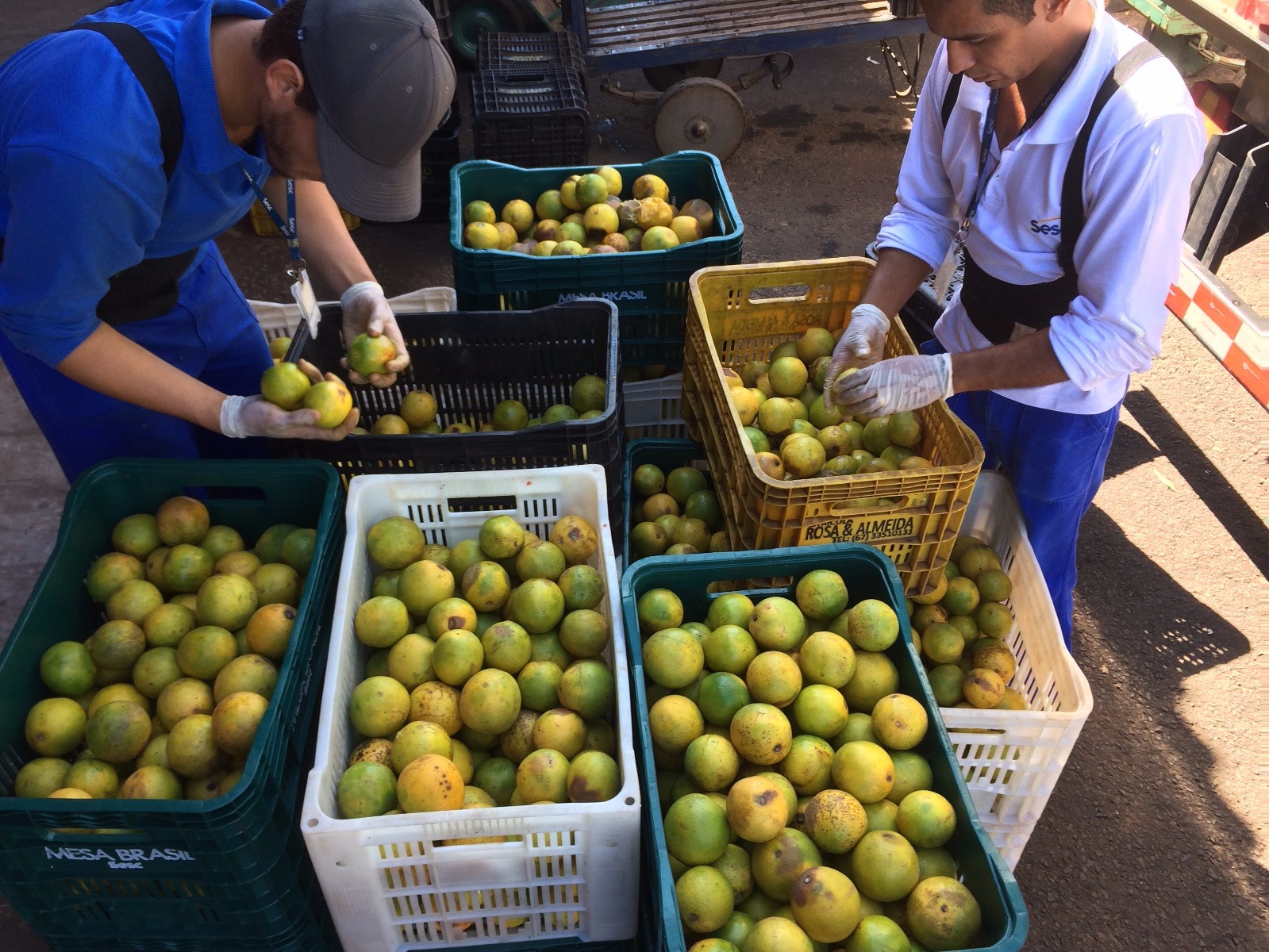 Mesa Brasil recebe mais de 8 toneladas de alimentos do Grupo Pereira Divulgação