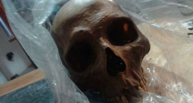 Jovem é preso ao ser flagrado com crânio na mão perto de cemitério