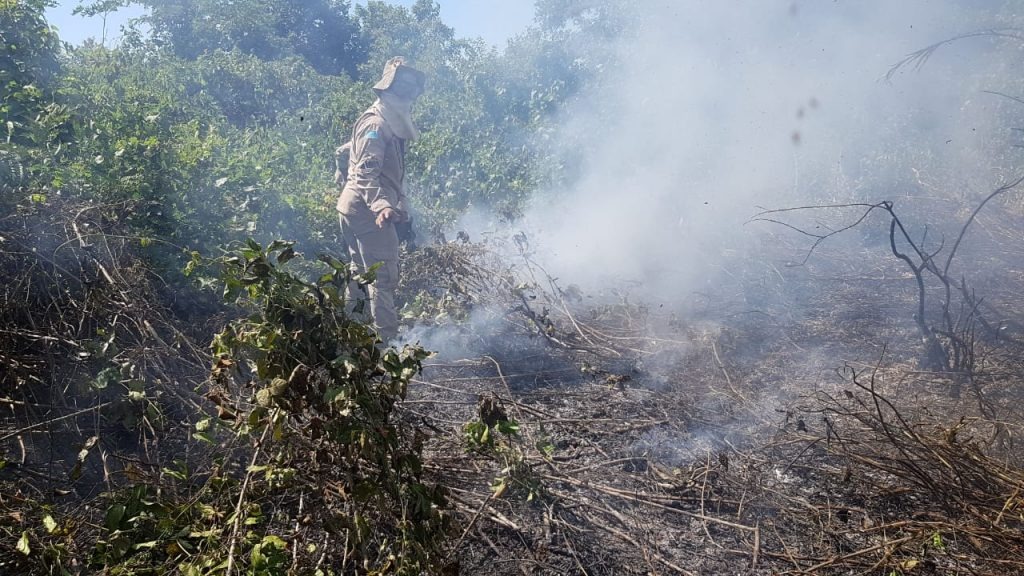 Governo envia equipe e aeronaves para combate a incêndios no Pantanal