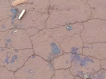 Policial civil é baleado com tiros de fuzil em sua casa Cápsulas foram encontradas no local do crime - Foto: Robertinho / Maracaju Speed
