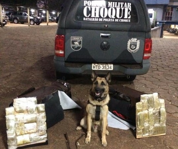 Com ajuda de cão, PM apreende 7 kg de haxixe avaliados em R$ 20 mil Com ajuda de cão, PM apreende 7 kg de haxixe avaliados em R$ 20 mil