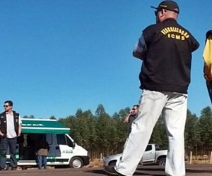 Fiscais flagram transporte irregular de 72 cabeças de gado em rodovia Fiscais da Secretaria da Fazenda montam operações - Divulgação/