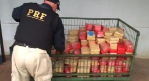 Operação conjunta apreende cerca de 300 quilos de cocaína MS em Foco