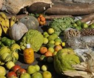 Governo muda regras para concessão de empréstimo a agricultores familiares Novas regras ampliam limites de renda e patrimônio exigidos do agricultor familiar para acesso ao crédito - Antonio Cruz/Arquivo/Agência Brasil