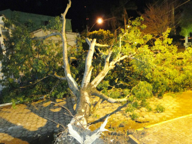 Vídeo mostra rastro de destruição deixado por tornado Árvores foram arrancadas do local - Foto: Divulgação/Prefeitura de Porto Murtinho
